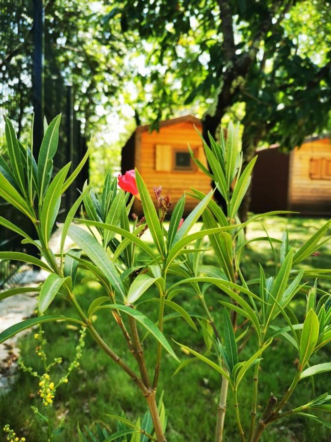 Krasen Kras 104 Resort Komen Eksteriør billede